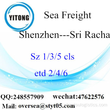 Shenzhen Port LCL Consolidatie Naar Sri Racha
